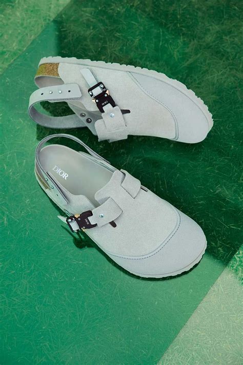 dior birks